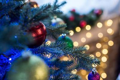 В мэрии Уфы установили цены на новогодние елки