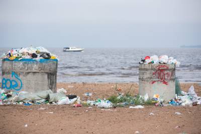 О высоком уровне загрязнения Финского залива микропластиком сообщили ученые