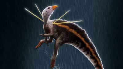 В Бразилии нашли шерстистого динозавра со «стрелами» на плечах