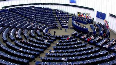 В Европарламенте не смогли перевести белорусский язык