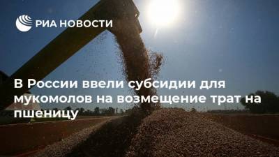 В России ввели субсидии для мукомолов на возмещение трат на пшеницу