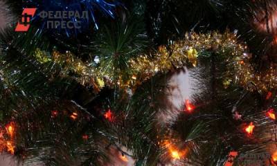 Свердловские энергетики назвали правила безопасности в новогодние праздники