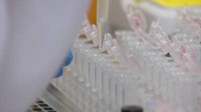 В Черноземье обнаружили ещё более 1,2 тыс. носителей коронавируса