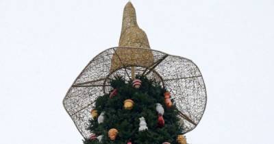Дело в шляпе. Почему разгорелись страсти из-за украшения главной елки Украины