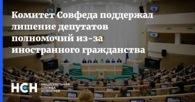 Комитет Совфеда поддержал лишение депутатов полномочий из-за иностранного гражданства