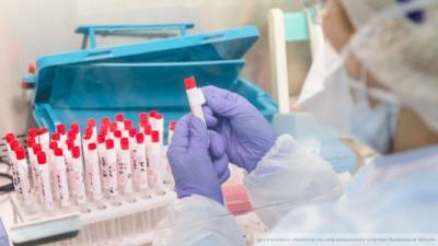 Петербургские врачи провели более 31 тысячи тестов на коронавирус за сутки