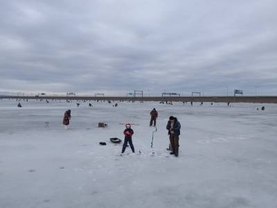 «Как дети малые!»: на тонкий лед петербургских водоемов начали массово выходить рыбаки