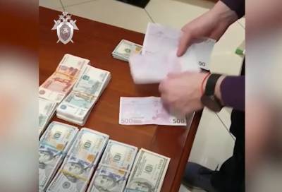 В Петербурге сотрудницу таможни подозревают в ущербе на 35 млн рублей