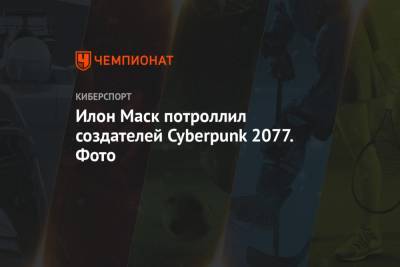 Илон Маск потроллил создателей Cyberpunk 2077. Фото