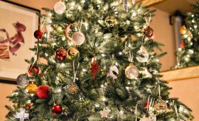 Традиционный «Праздник новогодней елки» для детей проведут в онлайн-формате