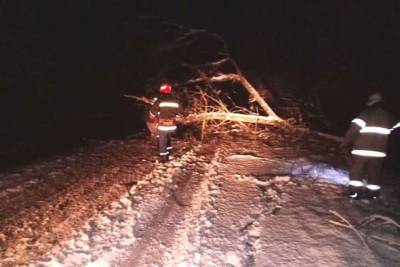 На Черниговщине спасатели ликвидировали последствия деревопада на дорогах