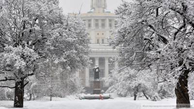 Синоптики обещают мощные снегопады в Москве под Новый год