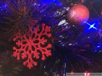 Праздник новогодней елки для детей Петербурга пройдет в онлайн-формате