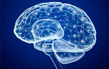 Ученые назвали три продукта, которые улучшают работу мозга в пожилом возрасте