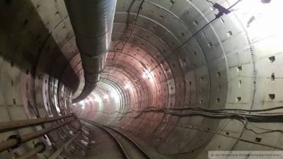 Смольный выделил 100 млн рублей на строительство "коричневой" ветки метро