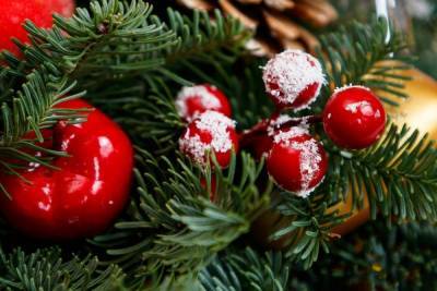 После Нового года в Ижевске можно будет сдать елку на переработку