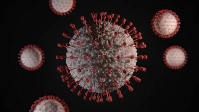 ВОЗ отреагировала на мутацию коронавируса в Великобритании