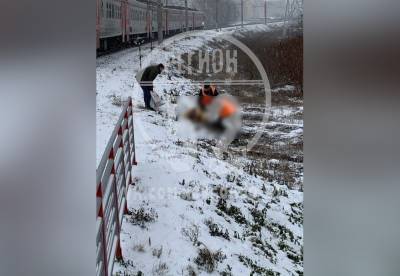 Соцсети: электричка сбила человека в Московском районе