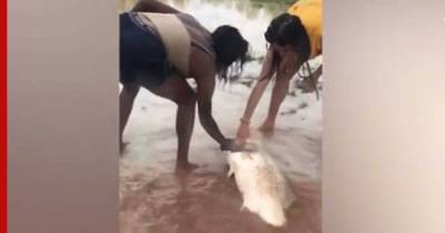 Австралийки поймали метровую рыбу голыми руками на глазах у крокодила