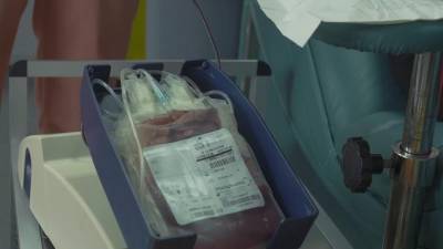 Фонд доноров призывает петербуржцев сдать кровь