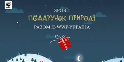 Сделай подарок саламандре. WWF запустили в Украине новогоднюю кампанию по сбору средств для сохранения диких животных