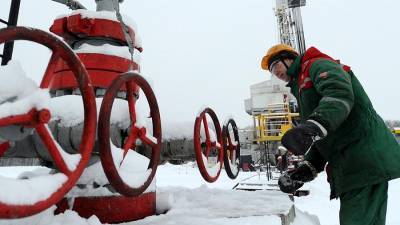 Белоруссия приостановила экспорт нефти через литовский порт - iz.ru - Англия - Белоруссия - Литва - Клайпеда - Клайпеды