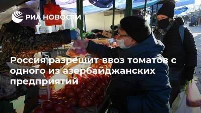 Россия разрешит ввоз томатов с одного из азербайджанских предприятий