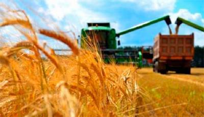 В Украине собрали урожай - 65,4 миллиона тонн зерновых
