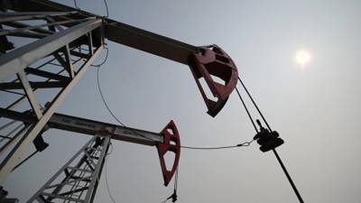 Белорусская компания приостановила экспорт нефти через Литву