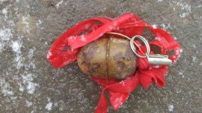 В Харькове на улице обнаружили боевую гранату