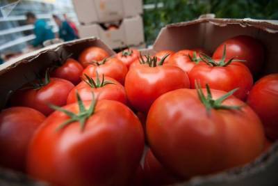 Азербайджанские помидоры впустят в Россию