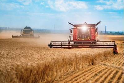 В Украине резко снизился урожай