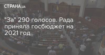 "За" 290 голосов. Рада приняла госбюджет на 2021 год
