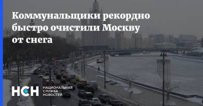 Коммунальщики рекордно быстро очистили Москву от снега