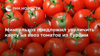 Минсельхоз предложил увеличить квоту на ввоз томатов из Турции
