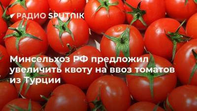 Минсельхоз РФ предложил увеличить квоту на ввоз томатов из Турции