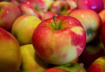 Диетологи рассказали, яблоки какого цвета полезны для здоровья