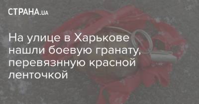 На улице в Харькове нашли боевую гранату, перевязнную красной ленточкой