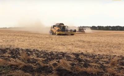 Плохой звоночек: в Украине рекордно бедный урожай зерна
