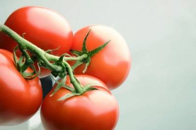 Минсельхоз планирует увеличить квоту на ввоз томатов из Турции