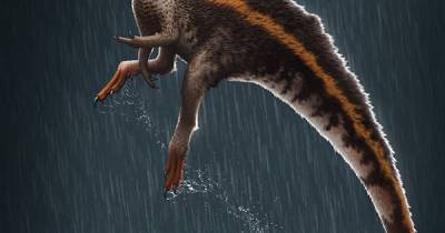Ученые обнаружили неизвестный вид динозавров
