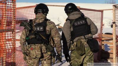 Чеченские правоохранители в ходе спецоперации ликвидировали боевика
