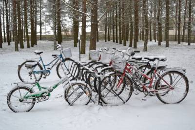 Погода в Смоленске 15 декабря не грозит осадками