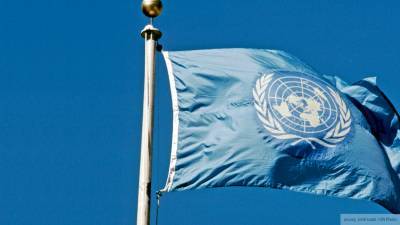 ООН обвинили в бездействии в отношении турецкой агрессии в Ливии