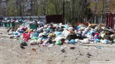 Единый экологический технопарк по переработке отходов появится на Сахалине