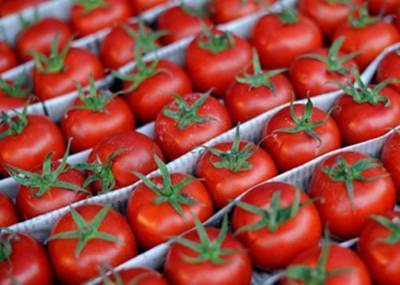 Россия частично возобновила поставки азербайджанских помидоров