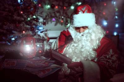 Резиденция Деда Мороза в Ульяновске будет работать в онлайн-формате