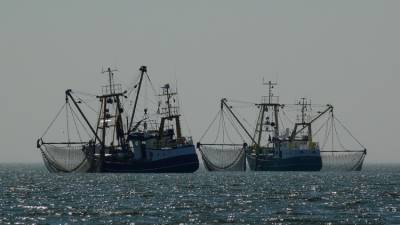 The Guardian: вопросы рыболовства еще больше разобщили Лондон и Брюссель