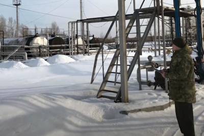 Новосибирца обвинили в организации подпольного нефтяного завода