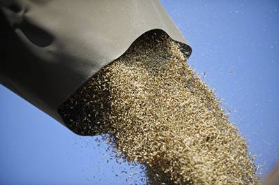 В России предложено создать госсистему прослеживаемости зерна